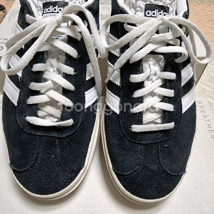 아디다스 가젤 볼드--1