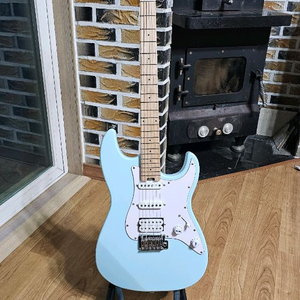 헥스 e100 플러스 + HGA-15 앰프