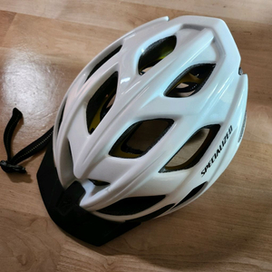 스페셜라이즈드 헬멧