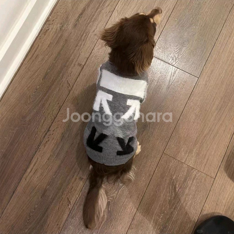 Off-White 스타일 강아지 옷 2XL 새상품--1