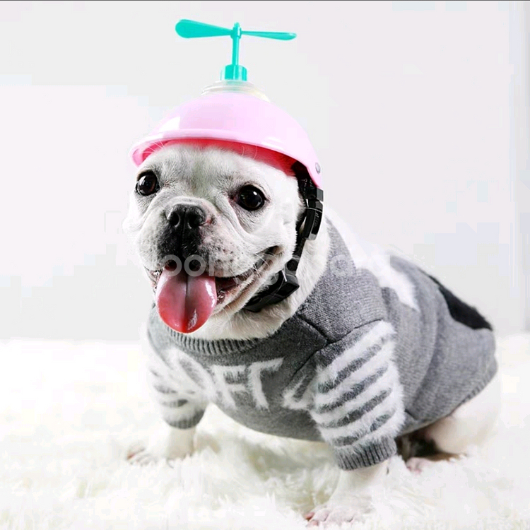 Off-White 스타일 강아지 옷 2XL 새상품--2