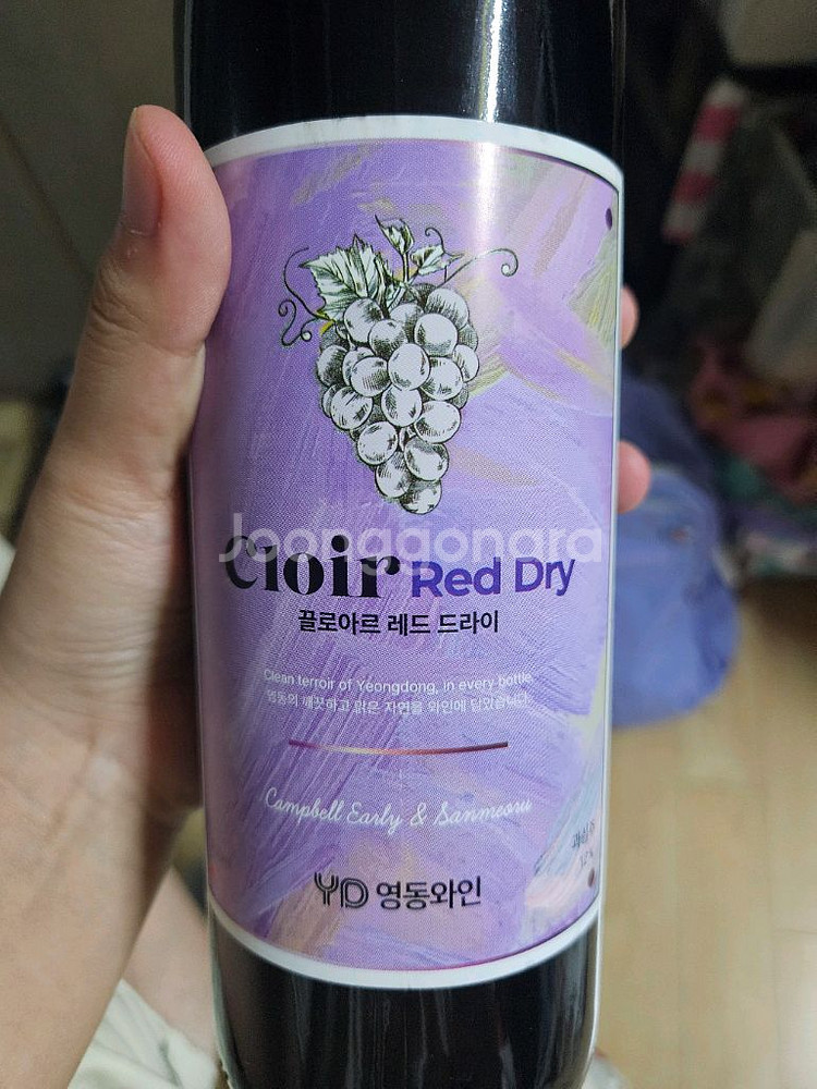 영동와인 끌로아 레드 드라이 750ml--0