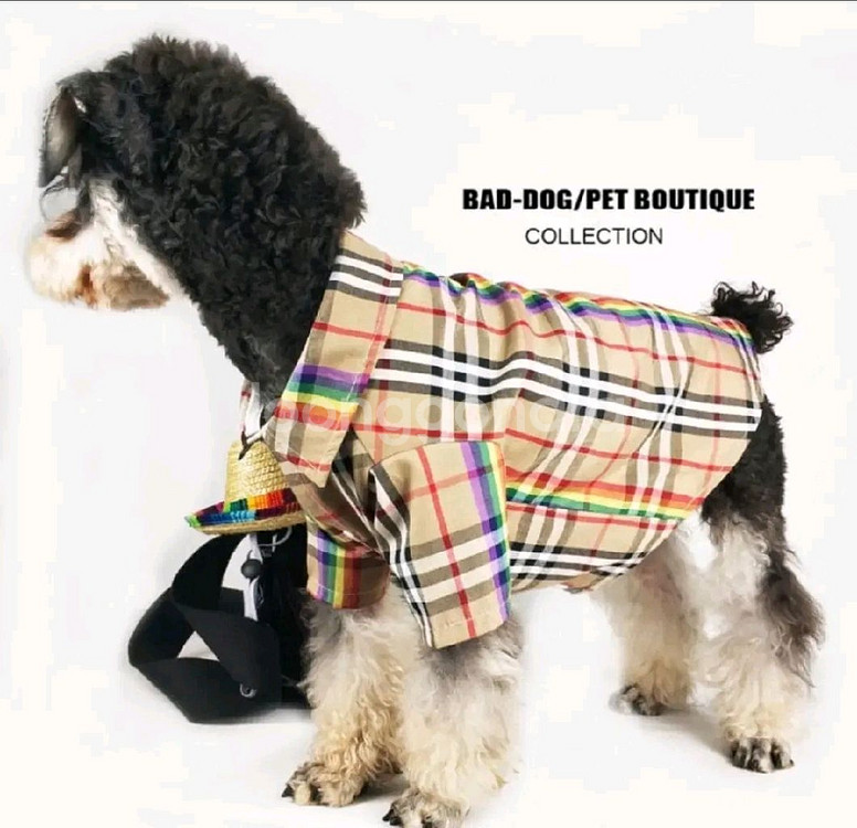 버버리 패턴 강아지 체크무늬 셔츠--0