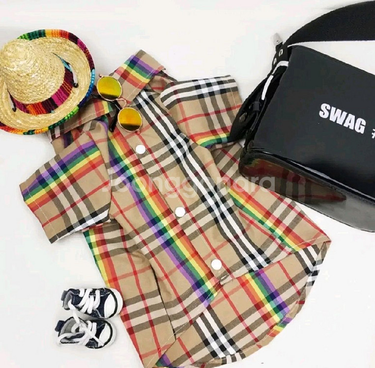 버버리 패턴 강아지 체크무늬 셔츠--1