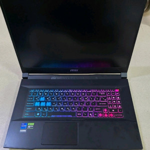 msi 게이밍 노트북 i7/ rtx 4060