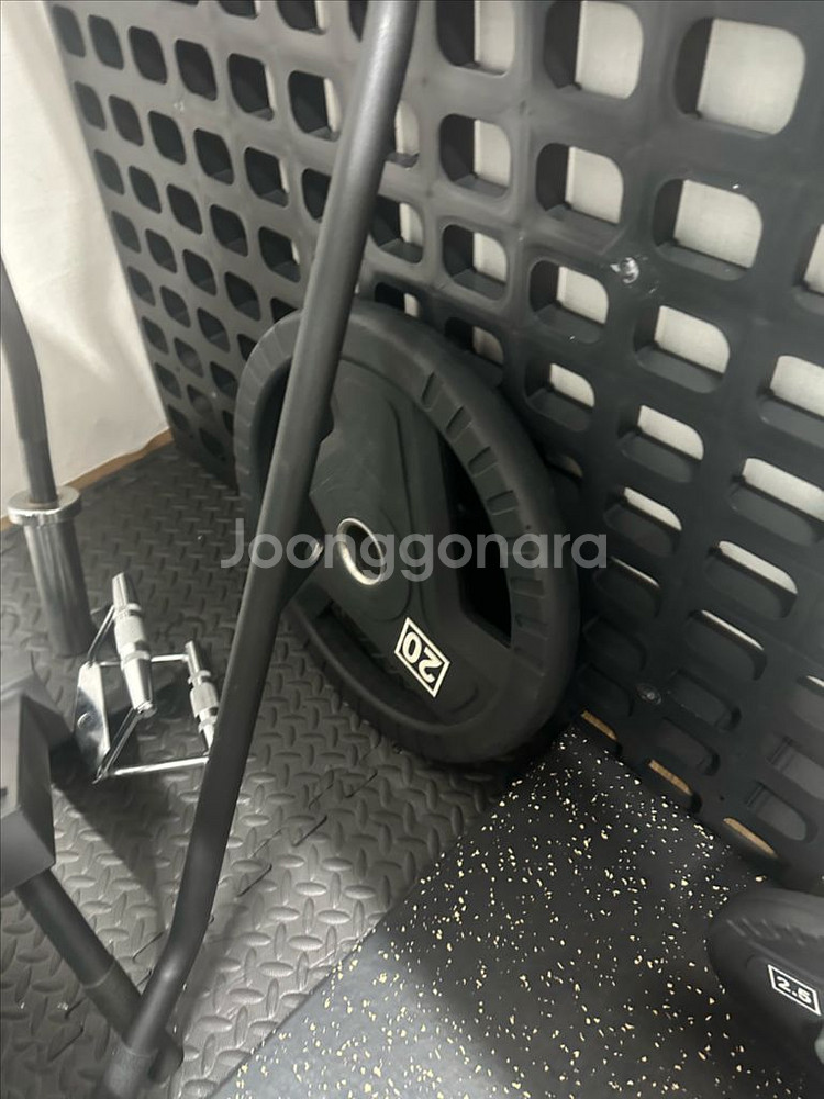 (택포)프로그 우레탄 원판 20kg 2장--1