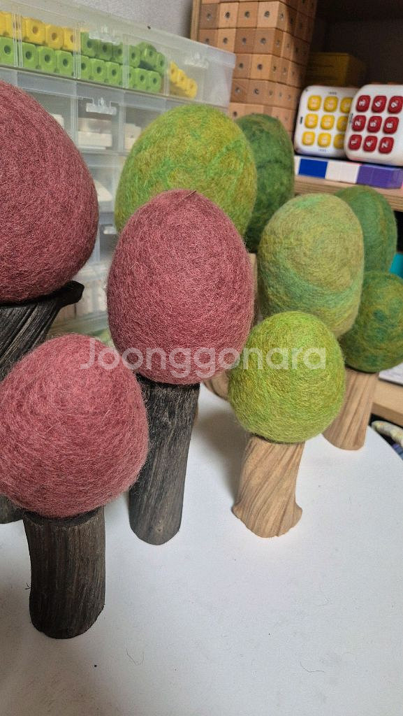 파푸스 원목교구 나무--0