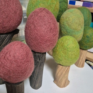 파푸스 원목교구 나무