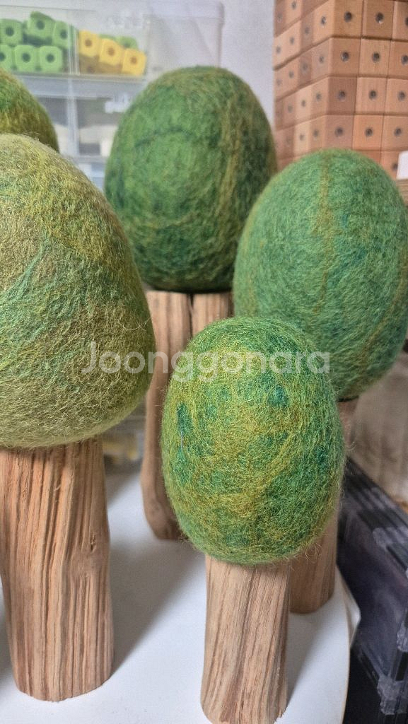 파푸스 원목교구 나무--2