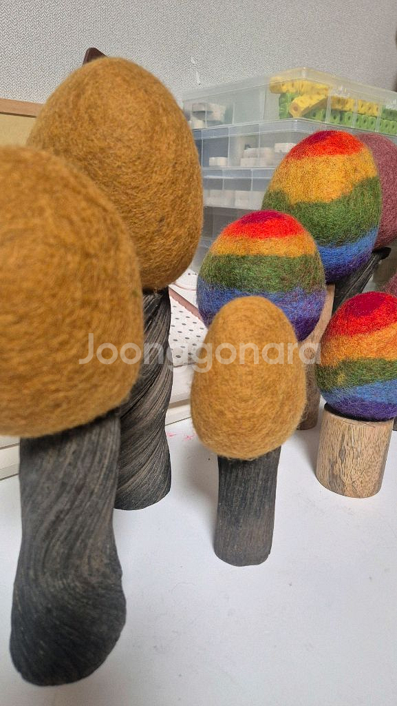 파푸스 원목교구 나무--1