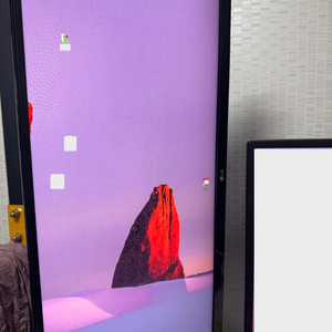 LG FHD 와이드 모니터 이미지