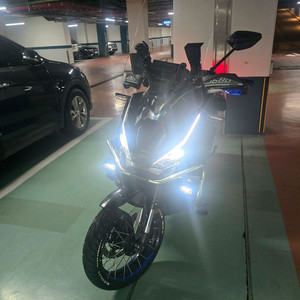 존테스368g팝니다