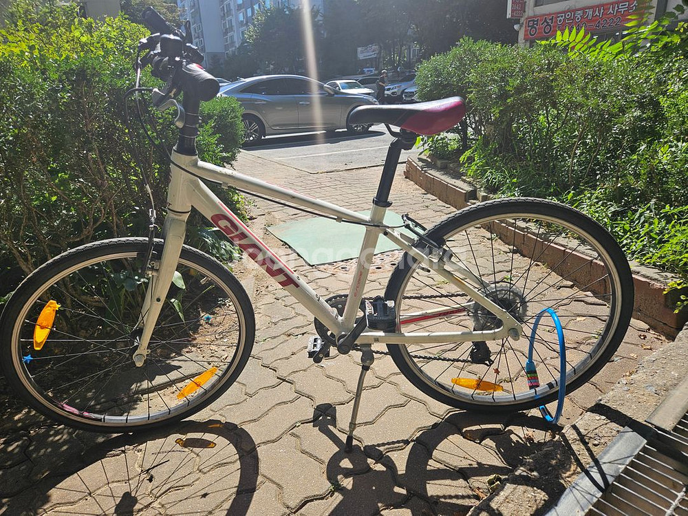 자이언트 이스케이프 주니어 JR 자전거--0