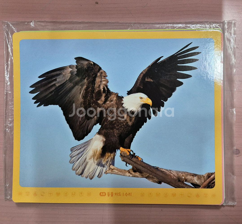 그레이트북스 놀라운 자연 74권 택포--3