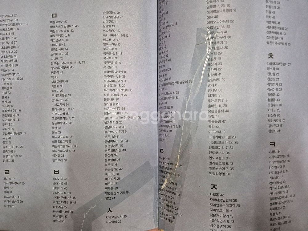 그레이트북스 놀라운 자연 74권 택포--7