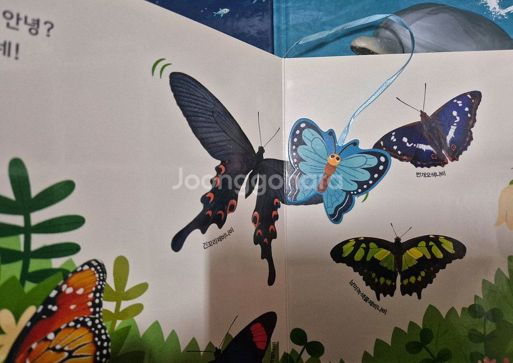 그레이트북스 놀라운 자연 74권 택포--4