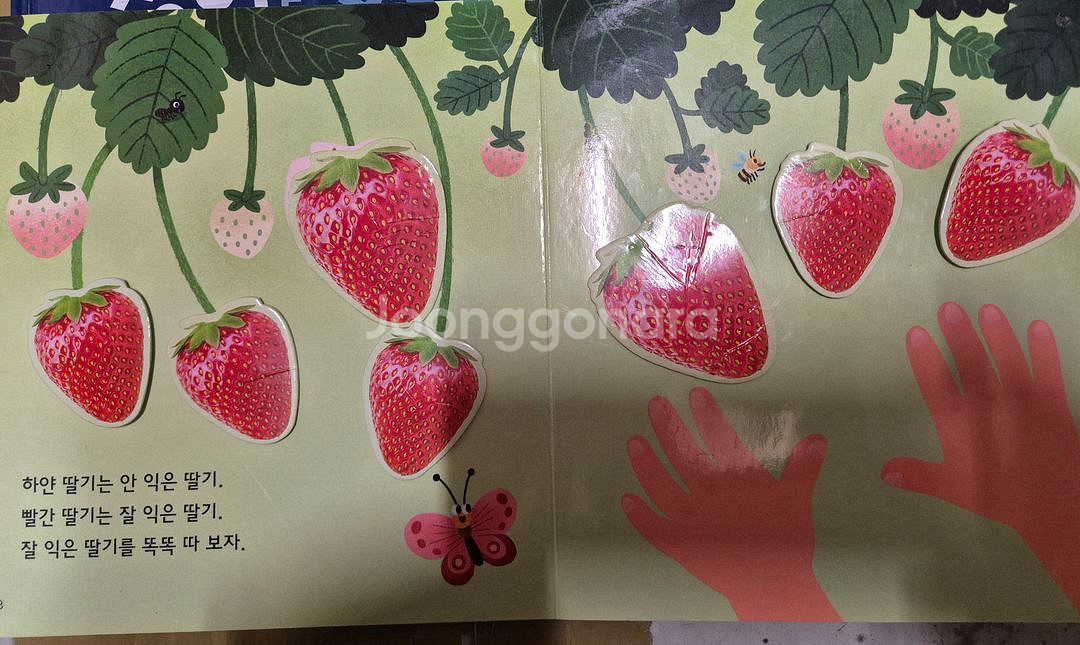 그레이트북스 놀라운 자연 74권 택포--5