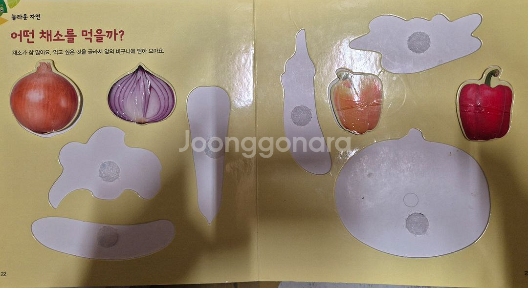 그레이트북스 놀라운 자연 74권 택포--6