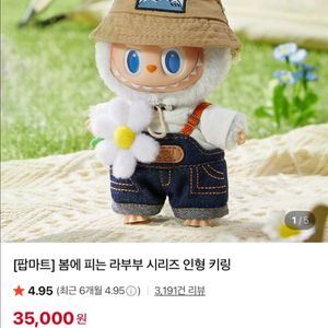 팝마트 봄에 피는 라부부 +체크메이트 라부부 일괄판매