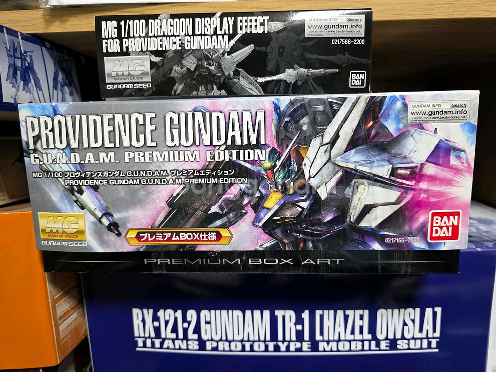 MG프로비던스/프판 드라군 디스플레이 세트--0