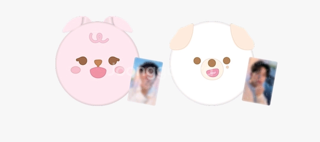 데이식스 쁘띠멀즈 방석 필돈--0