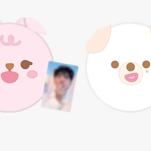 데이식스 쁘띠멀즈 방석 필돈