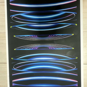 아이패드 프로 11(4세대) 2TB Wi-Fi