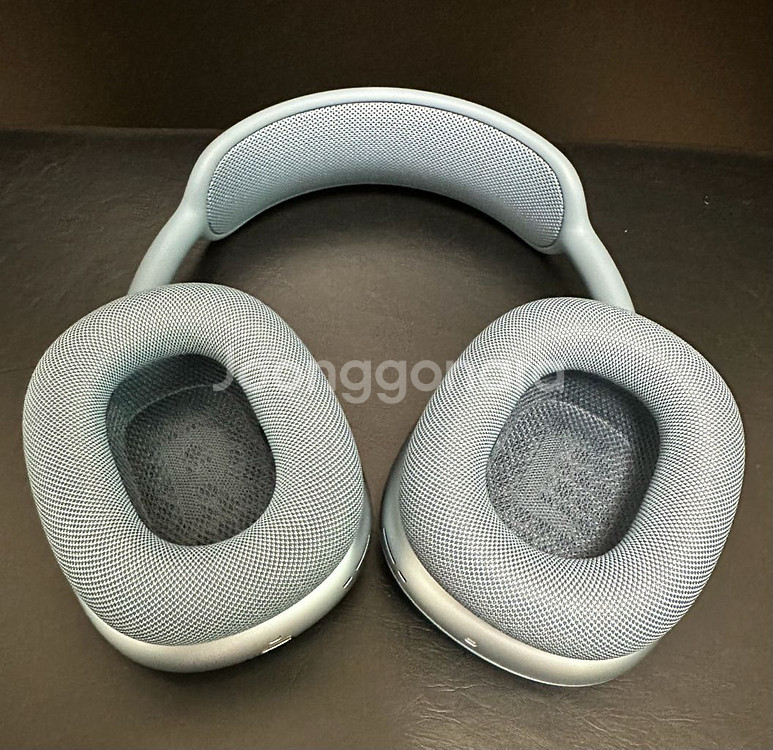 에어팟맥스 C Type 스카이블루--2