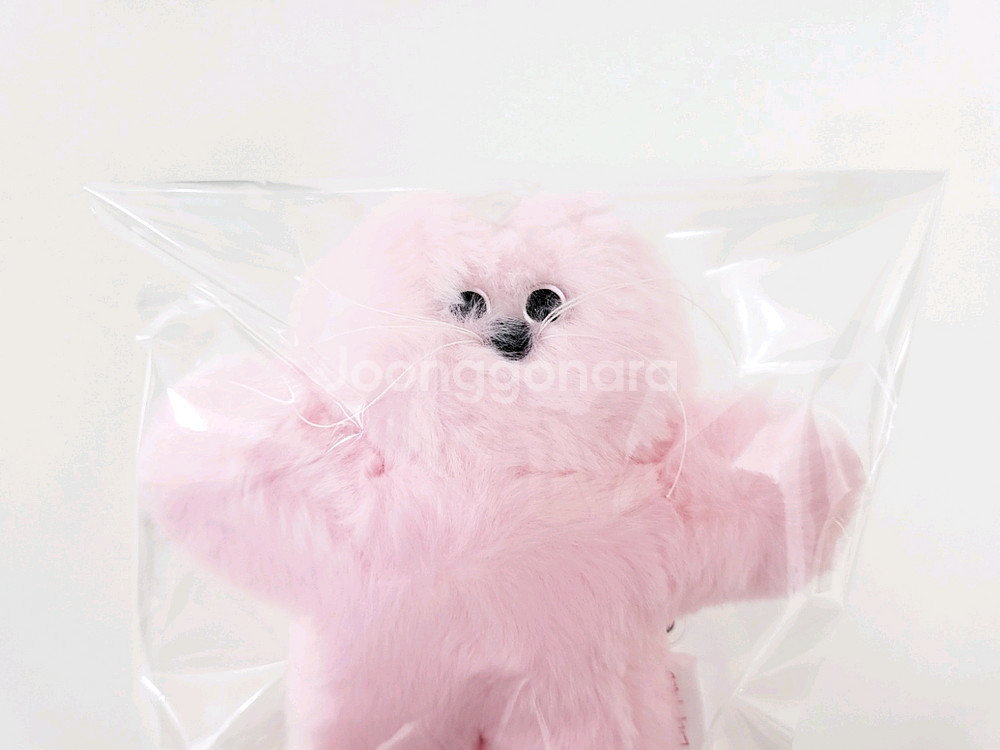 릴리바이레드X렐보브라운 머쉬룸 키링 머쉬룸 파우치 세트--6