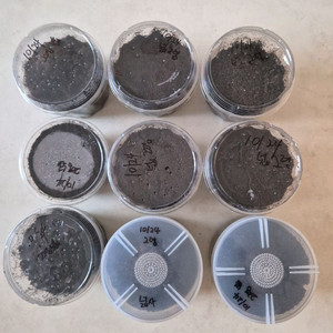 넓적사슴벌레 유충 2령 9마리 분양