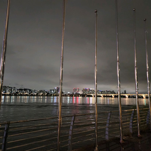 알로항머니 팝니다