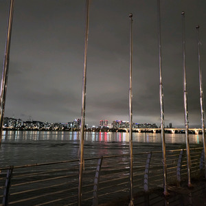 알로항머니 팝니다