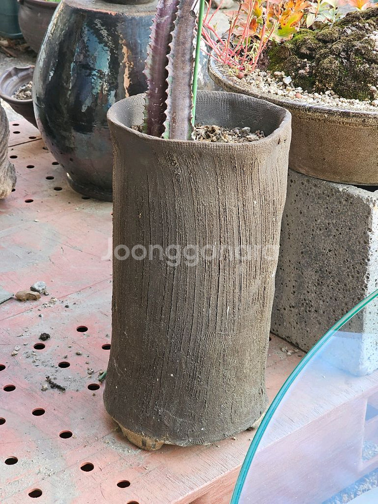 무광 카키 롱화분--0