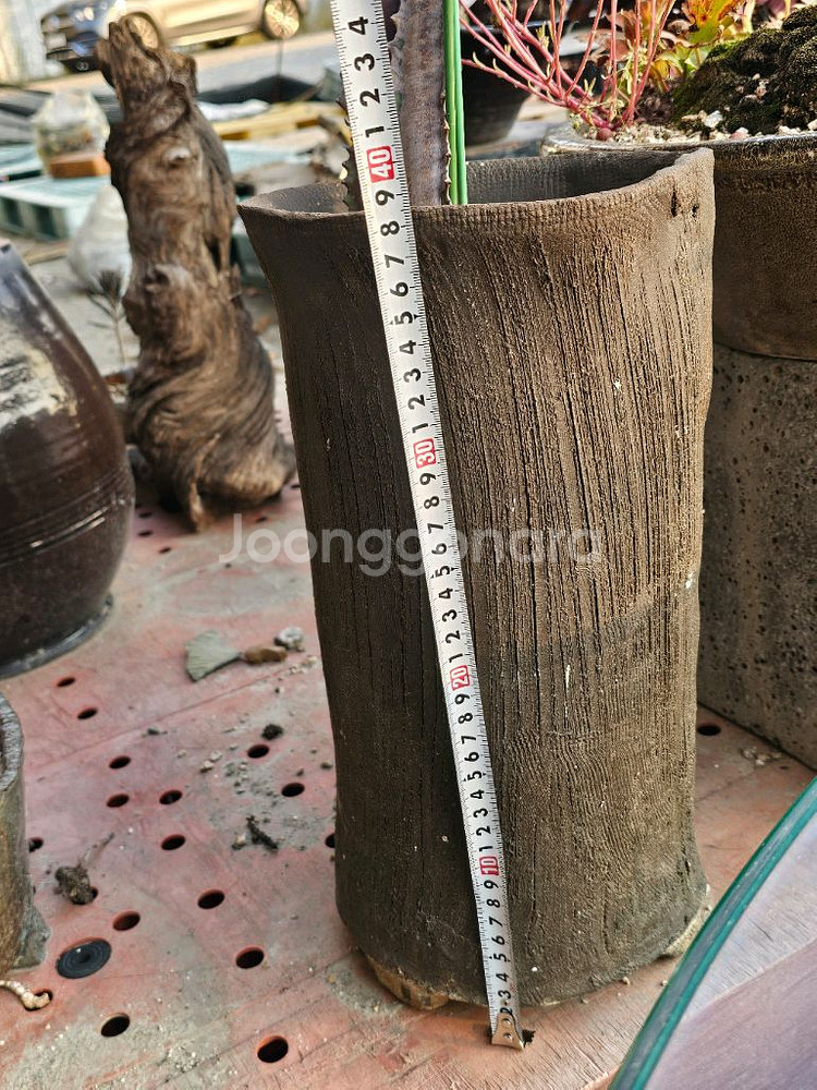 무광 카키 롱화분--3