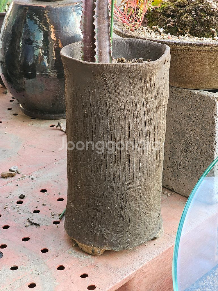 무광 카키 롱화분--1