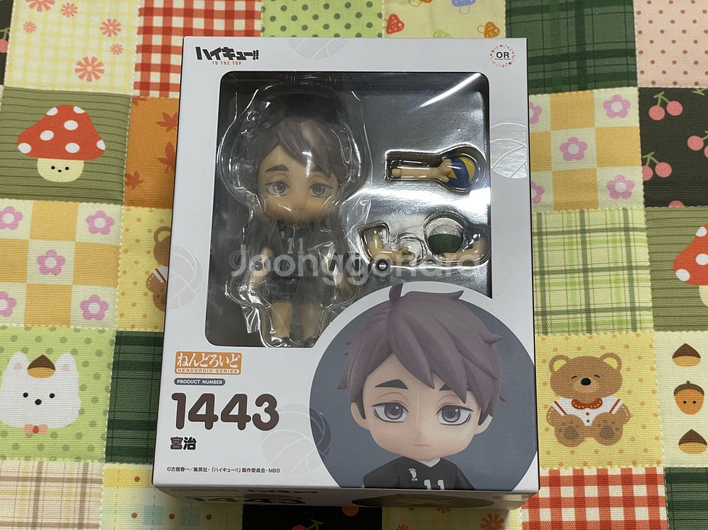 1443 넨도 미야 오사무 (미개봉)--0