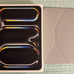 아이패드 프로 M4 11인치 셀룰러 1TB 실버 S급(케이스 포함)