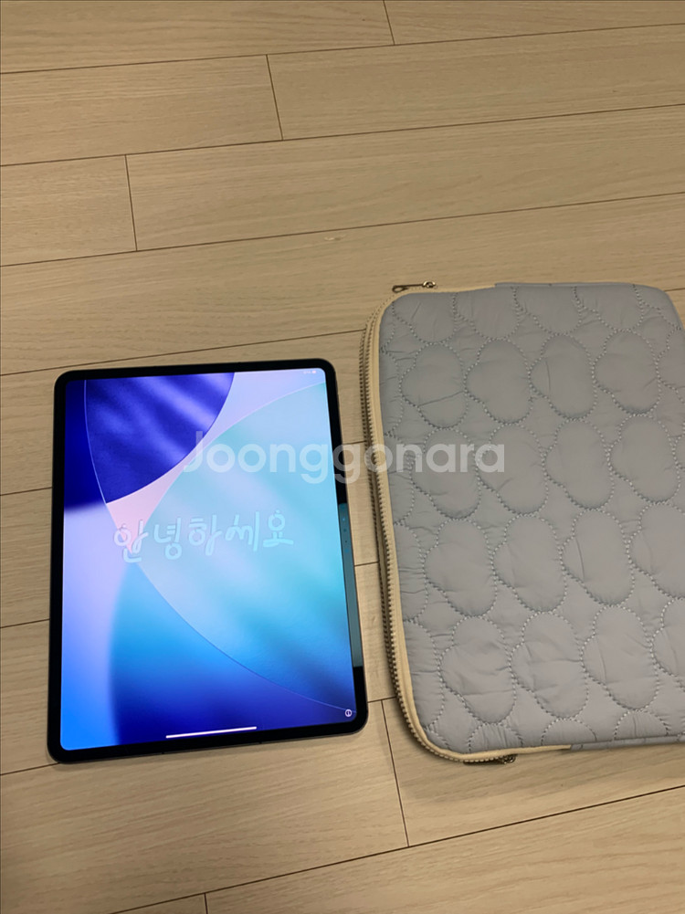 아이패드 프로 7세대 M4 13인치 1tb 셀룰러 나노--0