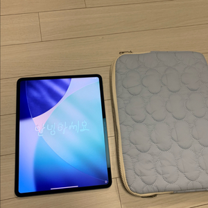 아이패드 프로 7세대 M4 13인치 1tb 셀룰러 나노