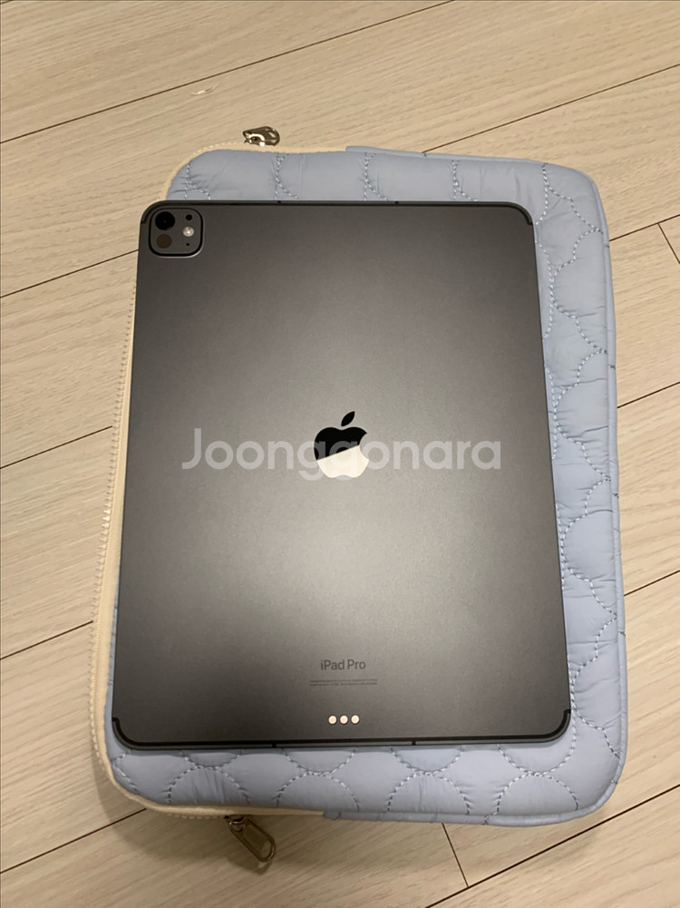 아이패드 프로 7세대 M4 13인치 1tb 셀룰러 나노--6