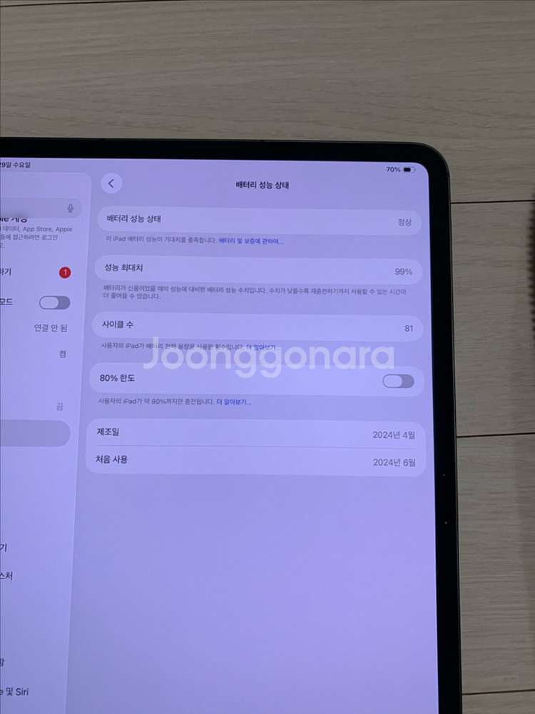 아이패드 프로 7세대 M4 13인치 1tb 셀룰러 나노--9