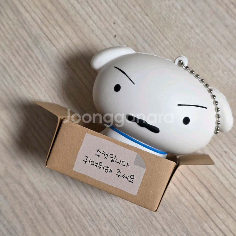 흰둥이 스퀴시--0