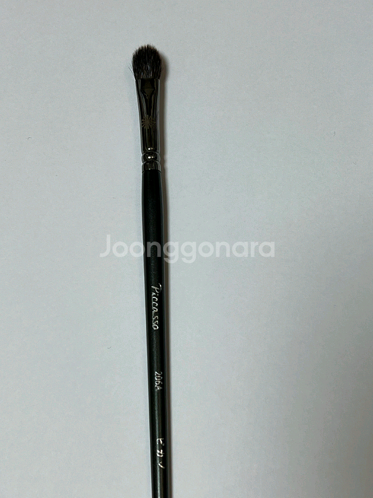 피카소 브러쉬--3