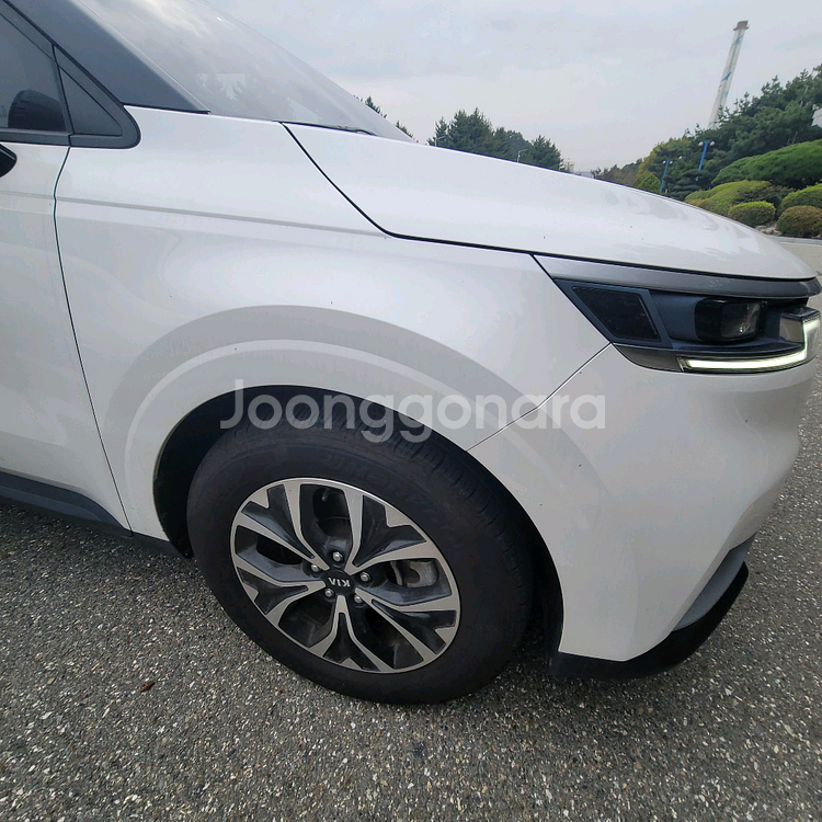 위페드 소닉s 올검 아노다이징--0