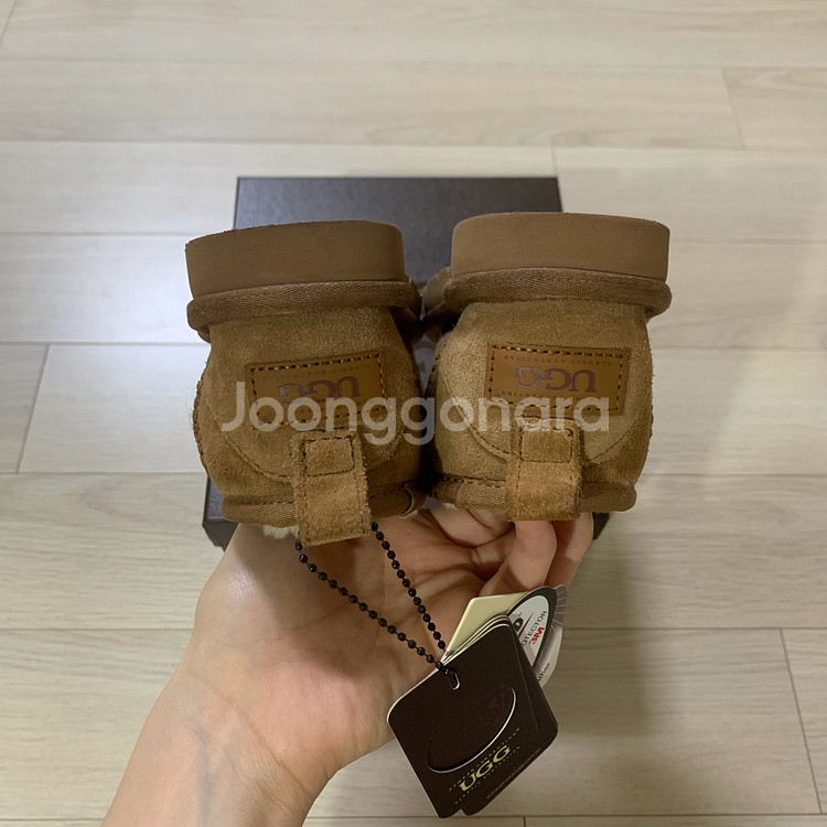 호주어그 키즈 클래식 울트라미니 145--4