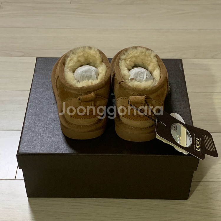 호주어그 키즈 클래식 울트라미니 145--1