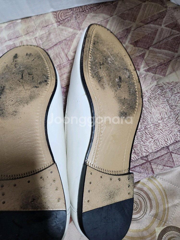 구두 41사이즈 구찌--1