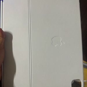 아이패드 프로 m4 12.9인치 2TB 셀룰러 스탠다드