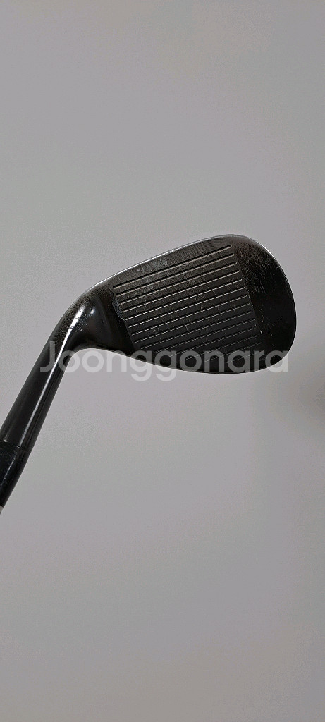 로마로 알코바사 웨지 50도 & 56도 55R--3