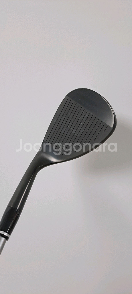 로마로 알코바사 웨지 50도 & 56도 55R--1